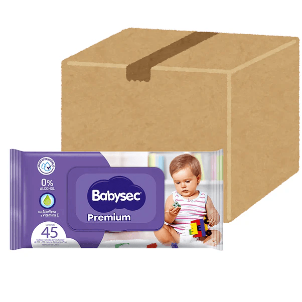 Toallitas Húmedas Babysec 45 - 20 Unidades