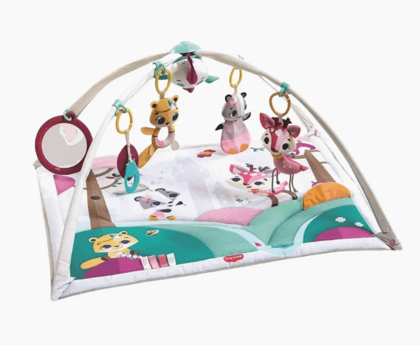 Gym de bebe